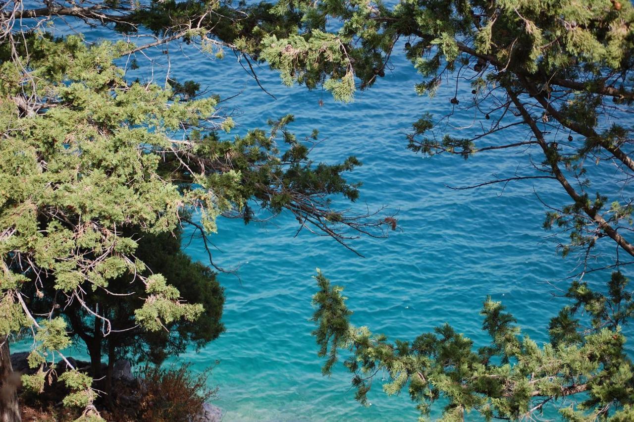 Hotel Odisej Goveđari Εξωτερικό φωτογραφία